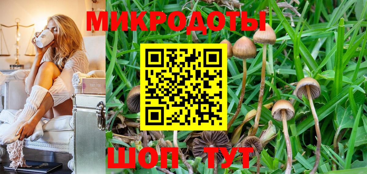 Галлюциногенные грибы прущие грибы Россошь